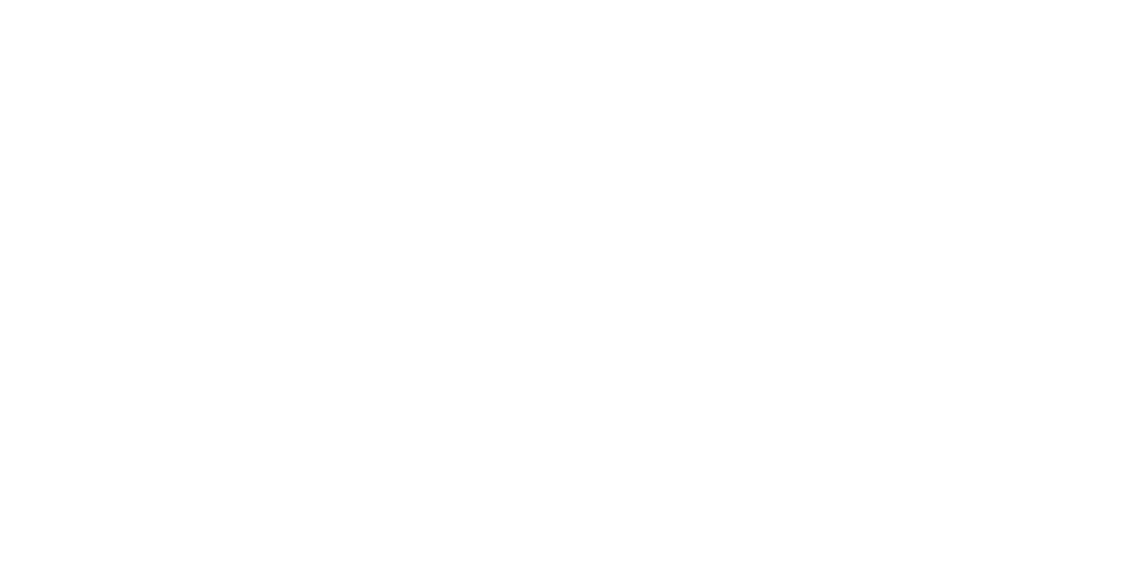 Vignette and Edition: Líder Real