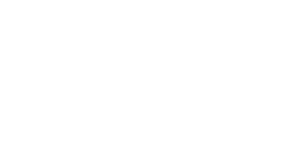 Vignette and Edition: Líder Real